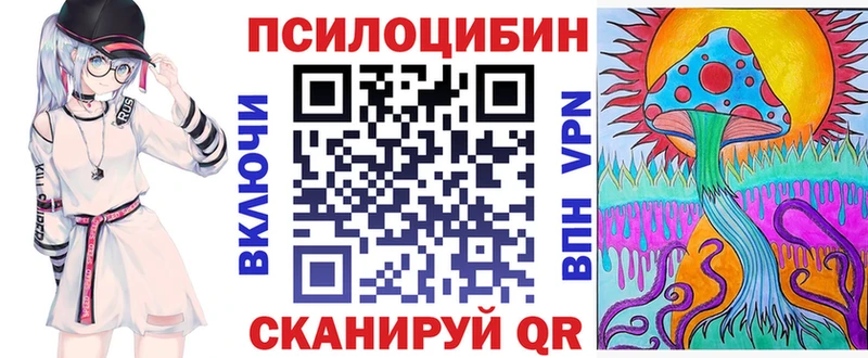 блэк спрут ССЫЛКА  Медвежьегорск  Псилоцибиновые грибы прущие грибы  что такое наркотик 